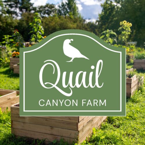 A green and white Personalized Oval Beach House Sign – Custom Coastal Decor for Your Beachfront Home, reads Quail Canyon Farm with a quail silhouette, shown against raised garden beds in a lush, sunny outdoor setting.